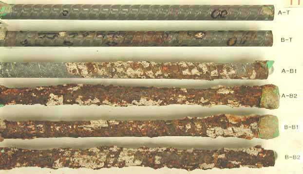 Figure 85. Slab #14 extracted rebars condition. Photo. Before autopsy, the top mat two ECRs (A-T and B-T) show blisters and some corrosion. The bottom mat four black bars (A-B1, A-B2, B-B1 and B-B2) are severely corroded. 