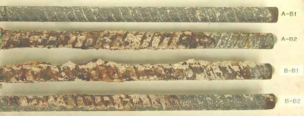 Figure 109. Slab #22 extracted rebars condition. Photo. Before autopsy, the first bottom mat black bar (A-B1) looks clean, while the rest show moderate level of corrosion. .