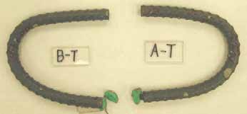 Figure 136. Slab #31 extracted rebars condition. Photo. Before autopsy, the top mat two bent ECRs show minor coating deterioration.