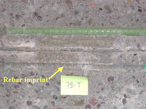 Figure 29. Typical condition of ECR with good corrosion resistance (slab #7-top right bar). Photo. The picture shows an ECR concrete slab with one green bar at the top and two extracted channels and one green bar with no evidence of discoloration or corrosion. The sample label is 7B-T.