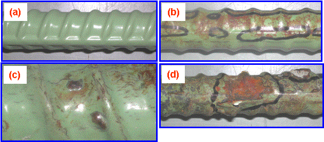 Figure 33. Closeup views of ECRs exhibiting various conditions: (A) an intact ECR; (B) an ECR containing hairline cracks; (C) an ECR containing blisters and hairline coating cracks; and (D) a delaminated ECR revealing severely corroded substrate. Photos. Photo (A) shows an intact ECR bar that is pure green and shiny. Photo (B) shows an ECR coating with hairline cracks. The surface color has changed to mottled green and rust and the cracks are black wavy lines. Photo (C) is a closeup of an ECR bar that shows coating blisters and hairline cracks that are rust and brown color compared to the green coating. Photo (D) is a delaminated ECR that has lost a majority of its green color so that the rusty and brown corrosion shows on the substrate. 