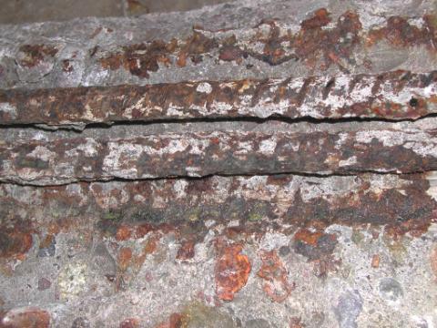 Figure 34. Typical condition of black bars in the top mat. Photo. The photo shows two severely corroded black bars in the top map. They exhibit significant section loss due to corrosion and their interface with concrete show thick rust layer covered the entire contact surface.