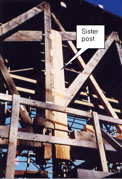 The picture shows a lighter-colored sister post notched with mortise and tenon and attached to a vertical post with shear blocks and bolts. The original diagonal was cut short to fit so the axial action does not change.