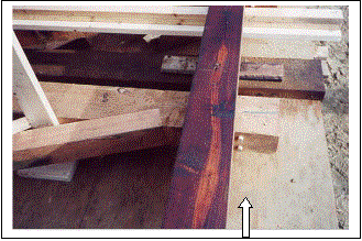 The picture shows the vertical post configuration with diagonal supports. The white arrow points to the 25-millimeter (1-inch) diameter wooden pegs used as reinforcement in the post corbel to prevent shear failure.