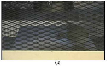 This collection of four photos shows the rapid progression of failure in a steam treated U H P C cylinder containing no fiber reinforcement. The cylinder is intact in photos (a) and (b). The cylinder is shattering in photo (c) and is mostly missing from the photograph in (d).