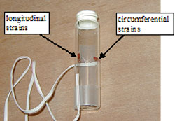 Figure 111. Photo. Strain gage for detecting expansion damage in freezing vials. Picture of vial with attached wires. On the left side of the vial is an arrow pointing to longitudinal strains. On the right side of the vial is an arrow pointing to circumferential strains.