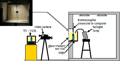 Figure 112. Drawing and photo. Direct observation for detecting expansion damage in freezing vials. Photo of the inside of the freezer. The drawing is of a TV/VCR placed on a shelf outside the freezer and connected to a video camera. The video camera points to the inside of the freezer. Inside the freezer is a vial placed on a stage, with thermocouples connected to a computer. Inside the freezer is a stool supporting a halogen lamp. Captions identify the test vial, stage, and glass window.