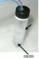 Figure 147. Photo. Half-filled vial after cooling in chest freezer.