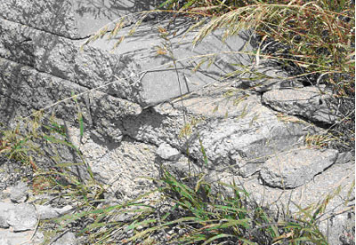 Figure 16. Photo. Severe damage of SRW blocks in direct path of drainage from bridge overpass above.