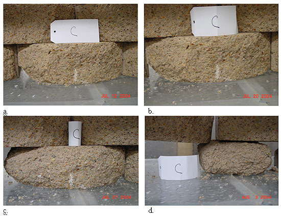 Figure 197. Photos. Freeze-thaw deterioration over 40 cycles from Test 4: a. after 10 cycles, b. after 20 cycles, c. after 30 cycles, and d. after 40 cycles. After 10 cycles the photo shows deterioration on the left bottom corner of the unit. After 20 cycles there is more deterioration in the left bottom corner of the unit. After 30 cycles there is deterioration on the top and bottom left edges, in addition to more deterioration on the right edge. After forty cycles there is considerable deterioration on all sides of the SRW unit.