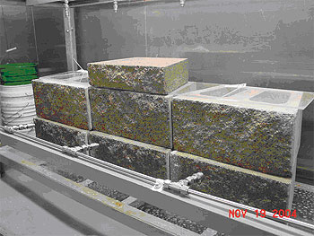 Figure 201. Photo. Typical stacking for larger SRW blocks tested in Phase II. The photo shows two rows of three SRW blocks with a sheet of clear acrylic across the top, and one SRW block placed on the middle row of SRW blocks.