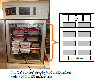 Figure 74. Photo and drawing. Inside of cabinet freezer. The picture is of the inside of a freezer with specimens on each of 4 shelves. The caption reads, 1 meter, or thirty-nine and one-half inches, deep by zero point seventy-six meters, or thirty inches, wide by zero point ninety-one meters, or thirty-six inches high. The drawing is a rectangle showing a fan at the top and an air intake at the bottom, with eight specimens on four shelves.