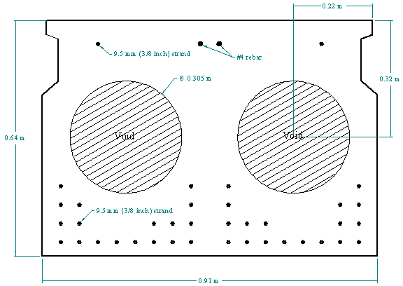 Figure 4. Illustration. Standard cross section of voided box beam. This diagram shows the standard cross section of the adjacent box beams tested in this program. The beams are 0.64-meter (25-inches) deep and 0.91-meter (36-inches) wide. These beams contain two 0.305-meter- (12-inch-) diameter voids that run the length of the beams, aside from interruption from periodic solid diaphragms. The beam contains thirty-six 9.5-millimeter (0.375-inch) prestressing strands in the bottom flange and two more in the top flange.