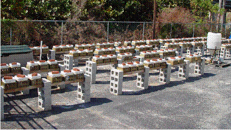 Figure11. Photo. SDS specimens under exposure in the outdoor test yard. This is a photograph of SDS specimens under exposure in the outdoor test yard.