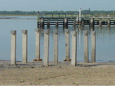 Figure 20. Photo. Field column specimens under exposure at the Intracoastal Waterway site in Crescent Beach, FL. This is a photograph of field column specimens under exposure.