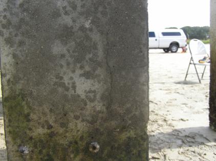 Figure 76. Photo. Cracking on a 2101 reinforced field column after 735 days of exposure. Photograph of crack on a 2101 reinforced field column after 735 days of exposure.