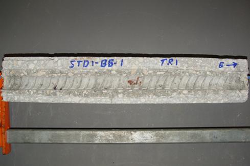 Figure 86. Photo. Upper R bar trace of dissected specimen 5-STD1-BB-1 showing localized corrosion products (circled). This is a photograph of upper R bar trace of dissected specimen 5-STD1-BB-1 showing localized corrosion products (circled).