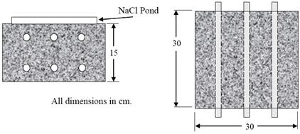 Figure 9. Illustration. Simulated deck slab specimen design. 