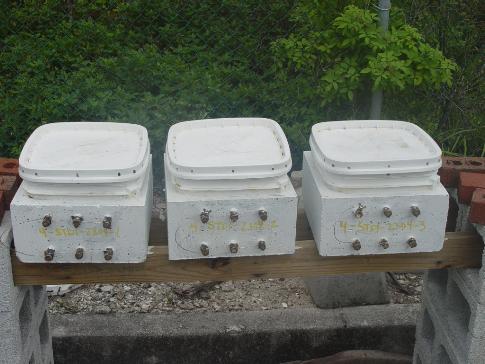 Figure 10. Photo. SDS specimens reinforced with 2304 SS under test. The photo shows three slabs straddling two wooden boards at a height of approximately 1 m, which allows air circulation around the entire specimen. The slabs are painted white except for the bar ends. Ponding chambers are white plastic and caulked to the tops of the specimens. The wooden boards are supported by gray cinder blocks on both ends.