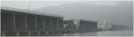 Photo. Collapsed spans in Biobío River bridge. Click here for more information.