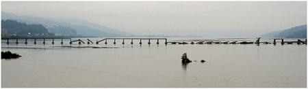 Photo. Collapsed spans and piers of Biobío River bridge. Click here for more information.