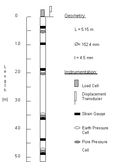 Figure 7. View Alternative text