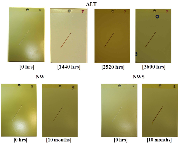 This figure shows the progressive changes of coating system IOZ/E/PU for type I panels in accelerated laboratory testing (ALT), natural weathering testing (NW), and natural weathering with salt spray testing (NWS). After 3,600 h of exposure in ALT and 10 months of exposure in NW and NWS, no significant surface deterioration, such as rusting, blistering, or cracking, was observed.