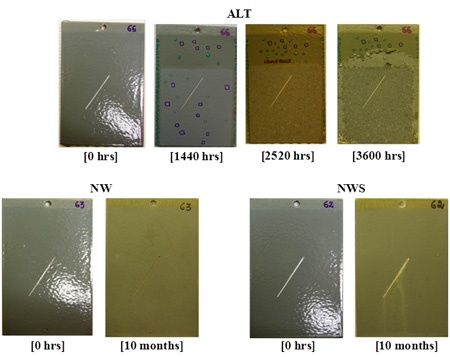 This figure shows the progressive changes of coating system TSZ/LE for type I panels in accelerated laboratory testing (ALT), natural weathering testing (NW), and natural weathering with salt spray testing (NWS). After 3,600 h of exposure in ALT and 10 months of exposure in NW and NWS several observations were made. First, at the termination of ALT, the surface demonstrated excessive blistering and coating peel-off. The blistered areas were numerous and covered the total surface of the panel. Blistered areas showed formation of white zinc oxide. Second, although NW exposure did not show any surface blistering, the surface showed significant loss of color and gloss. Third, at the termination of NWS, the scribed panel showed excessive zinc oxide formation within the scribed region with excessive color and gloss variations similar to exposure in NW.