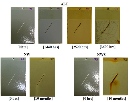 This figure shows the progressive changes of coating system ZnE/LE for type I panels in accelerated laboratory testing (ALT), natural weathering testing (NW), and natural weathering with salt spray testing (NWS). After 3,600 h of exposure in ALT and 10 months of exposure in NW and NWS, several observations were made. First, at the termination of ALT, the surface demonstrated excessive surface cracking and coating peel-off. Second, although NW exposure did not show any surface blistering, the surface showed significant loss of color and gloss. Third, at the termination of NWS, the scribed panel showed excessive rusting within the scribed region, with excessive creepage and coating lift-off from the surface.