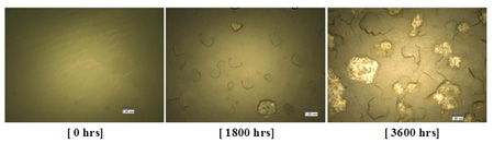 This figure shows surface blistering of coating system TSZ/LE for type I panels at 0, 1,800, and 3,600 h of exposure in accelerated laboratory testing (ALT). The blistering is progressive, with increased peel-off and steel oxidation toward the termination of the test period.
