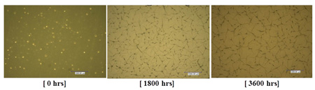 This figure shows surface blistering of coating system ZnE/LE for type I panels at 0, 1,800, and 3,600 h of exposure in accelerated laboratory testing (ALT). Surface degradation occurred with the formation of micro-cracks on the surface, which increase in inter-connectivity and propagate all over the surface toward the termination of the test period.