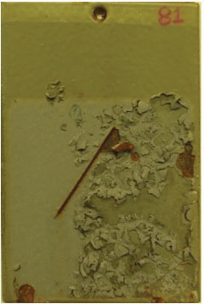 This figure shows a test panel coated with a poorly performed ZnE/LE coating system after 3,600 h of accelerated laboratory testing (ALT). The top coat exhibited extensive peeling.
