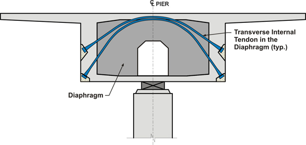 Figure 10. Illustration. Transverse internal tendon in the diaphragm. This illustration shows longitudinal bridge segments with draped, bottom, and top longitudinal internal tendons and a transverse section with two internal tendons in the diaphragm