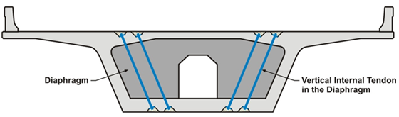 Figure 17: Typical vertical tendon in the diaphragm. This illustration shows a web. There are two sets of two vertical internal tendons on the left and right in the diaphragm