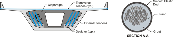Figure 5. Illustration. External tendon. This illustration shows a segmental bridge superstructure showing example placement of external longitudinal and internal transverse tendons. To the right, there is an expanded view of the cross section of a tendon with smooth plastic duct, grout, and strands identified