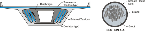 Figure 5. Illustration. External tendon. This illustration shows a segmental bridge superstructure showing example placement of external longitudinal and internal transverse tendons. To the right, there is an expanded view of the cross section of a tendon with smooth plastic duct, grout, and strands identified