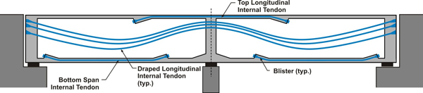 Figure 8. Illustration. CIP bridge typical tendon layout. This illustration shows tendon layout for a cast-in-place (CIP) bridge showing draped longitudinal internal tendons, top longitudinal internal tendons, bottom span internal tendons, and a blister