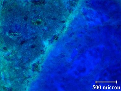 The photo shows a representative unpolished stained section for a concrete prism with a reactive aggregate. When comparing this photo with the photo in figure 57, there does not appear to be any evidence of loss of alkali-silica reaction (ASR) gel. This figure shows a relatively large crack that is still stained after polishing (see figure 57). When comparing the quality of the images, the unpolished section in this figure does not appear as clear as the polished section in figure 57. For the unpolished section, it is difficult to achieve good focus, especially at higher magnifications, resulting in diminished image quality. 