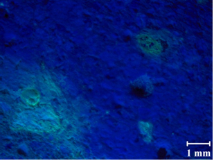 Another typical petrographic image for recast Mix 7 at 218 days also shows that after the expansion limit was crossed, some staining of certain aggregates is apparent but there is no evidence of reaction rims or cracks.