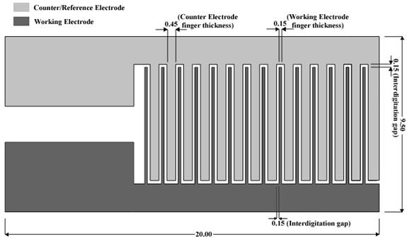 This illustration shows the layout of a linear polarization resistance (LRP) sensor. It shows a schematic representation of the sets of counter electrodes and of the working electrodes with a small interdigitation gap. 
