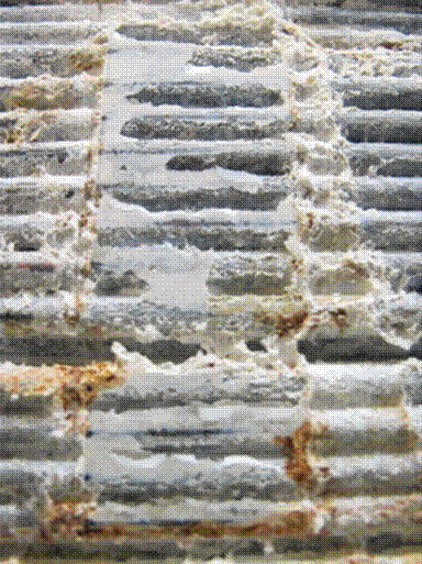 This photo shows the formation of salt deposit and zinc/ferrous corrosion products on the surface of wires next to a stainless steel strap. Salt deposits built up around the location of steel straps with ferrous corrosion forming at the contact point of the edge of a stainless steel strap and the cable wires. 