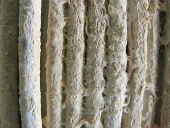 This photo shows a close-up view of an area of approximately 2 by 2 inches (50.8 by 50.8 mm) with the wires in the opening covered by a thick layer of a white substance, mainly composed of salt but also with the presence of zinc oxide. 