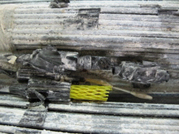 This photo shows linear polarization resistance (LPR) sensor 6 as found during cable disassembly. It is located at the top corner of one hexagonal strand below a Precon HS2000V temperature/relative humidity. A large amount of salt and zinc oxide is present on the surrounding wires. 