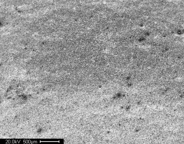 This figure shows a scanning electron microscopic image of a virgin A588 steel surface. The length of the scale bar is 0.02 inches (500 micrometers).