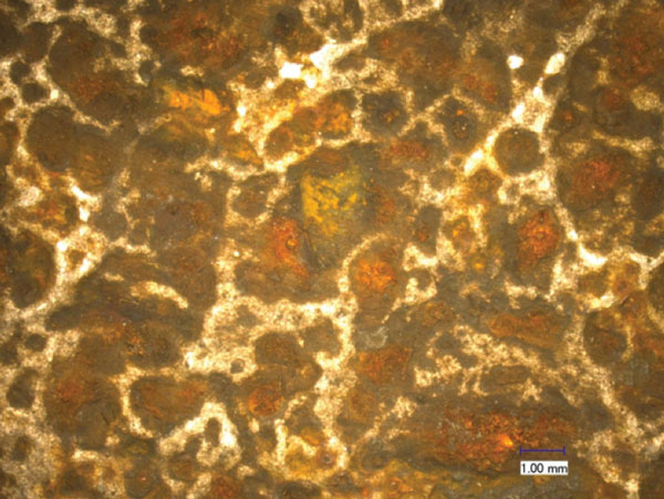 This figure shows the A710 steel surface observed under visible light with an optical microscope before the doping and extraction process. The scale bar in the image is 0.04 inches (1 millimeter) long. Rust is visible on the steel surface after the doping and extraction process.