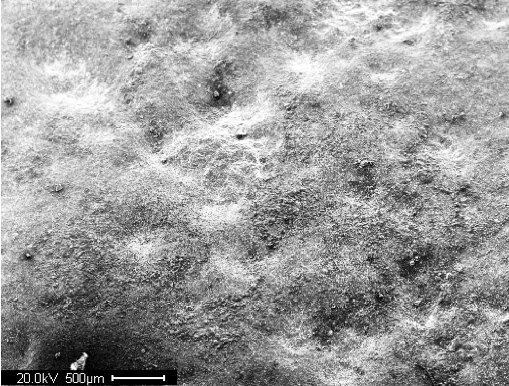 This figure shows a scanning electron microscopic image of an A710 steel surface. The length of the scale bar is 0.02 inches (500 micrometers).