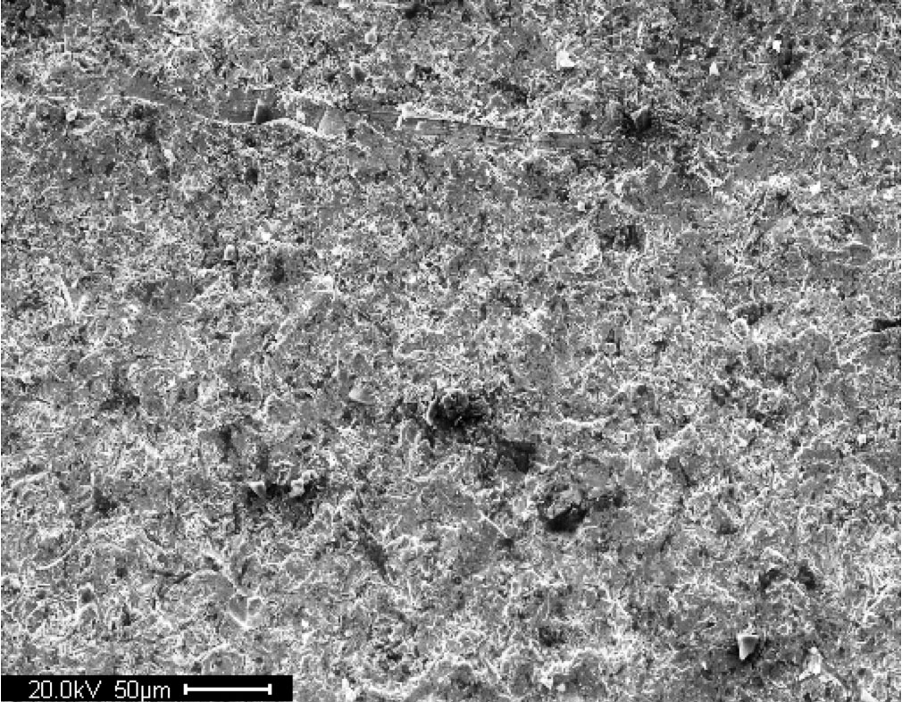 This figure shows a scanning electron microscopic image of a virgin A588 steel surface. The length of the scale bar is 0.002 inches (50 micrometers).