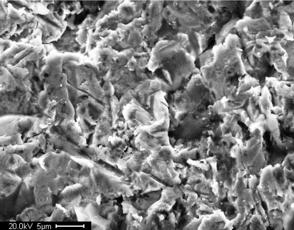 This figure shows a scanning electron microscopic image of a virgin A588 steel surface. The length of the scale bar is 0.0002 inches (5 micrometers).