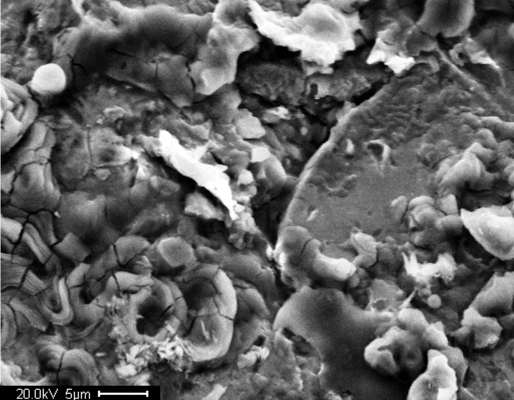 This figure shows a scanning electron microscopic image of an A710 steel surface. The length of the scale bar is 0.0002 inches (5 micrometers).