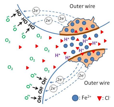 Figure 12. Illustration. Crevice corrosion mechanism. 
  This illustration shows crevice corrosion, which is established  between a small active area inside the post-tensioned strand  where oxygen is depleted and large passive area outside the strand where it is in contact with bulk electrolytes containing abundant oxygen. The crevice corrosion process liberates numerous positively charged ferrous ions (Fe2+) into the crevice. The liberated electrons through the crevice corrosion process participate in the oxygen reduction process in the presence of water and oxygen to produce negatively charged hydroxyl ions (2OH-) on the steel surface outside the crevice.